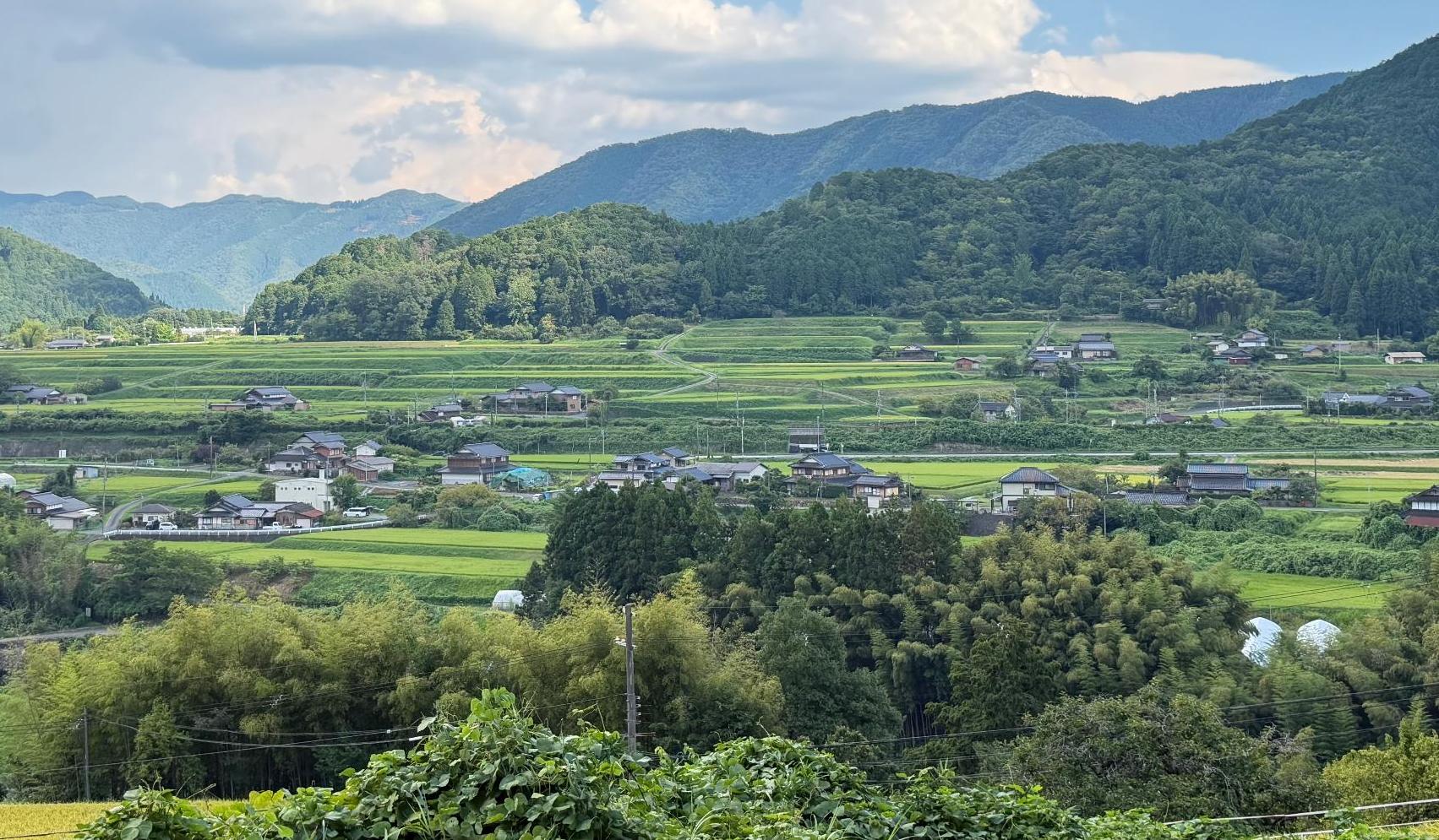和知河岸段丘の景観