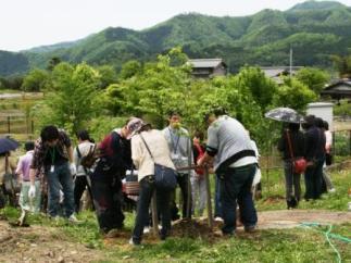 数名の参加者が土を掘り起こし、協力して植樹をしている写真