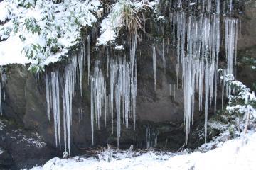 滝つぼの上部から棒状に伸びた氷で、先端がとがったつららが、いくつも伸びている写真