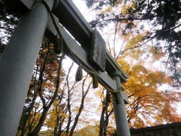 九手神社の立派な石の鳥居の下から空を見上げ、石の鳥居と紅葉した木々が見えている写真