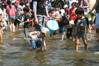 小さな子ども達が足首の上までの深さの池の水の中に入って、水の中に手を入れて、金魚を掴もうとしている写真