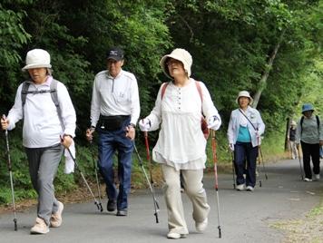 木々が左側に生えている細道で、ポールを両手に持ち、ポールを地面に着きながらウォーキングを楽しんでいる参加者の写真