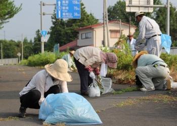 帽子をかぶり、軍手をはめた参加者が、歩道の割れ目や歩道沿いに生えている雑草を手作業で草引きしている写真