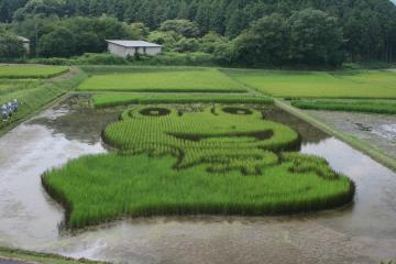 田んぼの中に笑顔のカエルのイラストの姿がくっきりと浮かびあがっている田んぼアートの写真
