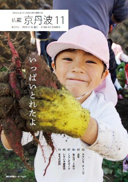 2018年11月広報京丹波表紙