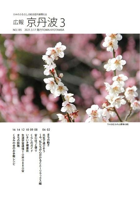 2021年3月広報京丹波表紙