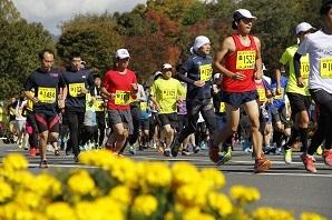 黄色い花が咲いている沿道で、胸にゼッケンを付けた多くのランナーの皆さんが走っているロードレース大会の写真