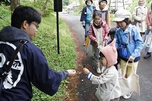 親子連れの参加者が、道路沿いを散策中に、小さなピンク色の毛糸の帽子を被った女の子が見つけた野草を手に取って見ている写真