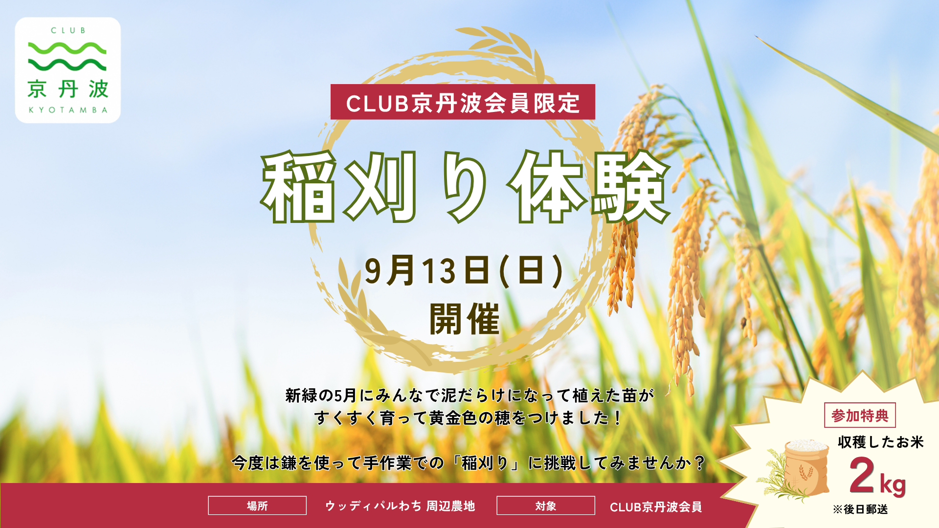 CLUB京丹波稲刈り体験イベントサムネイル