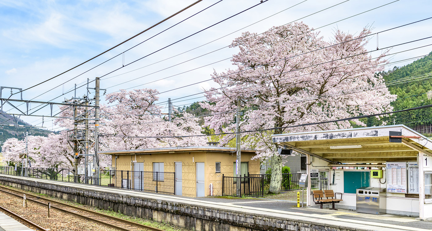 駅と桜の画像