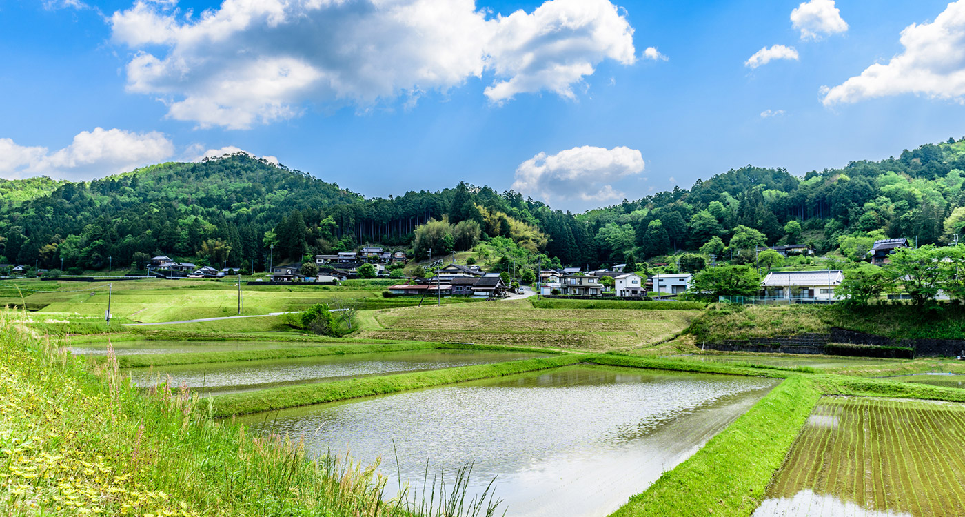 青空と緑豊かな田園風景の画像