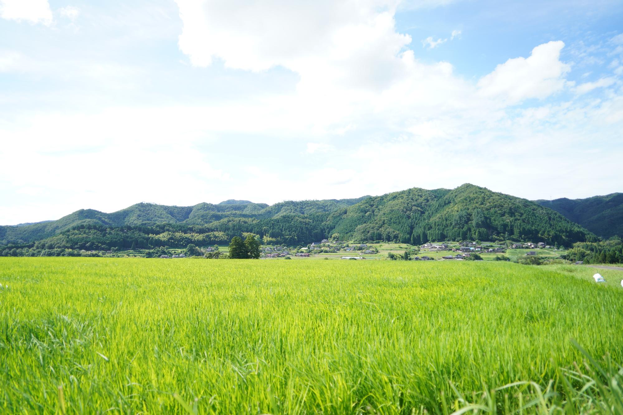 山並みがあり家や田畑などがある京丹波町の風景写真
