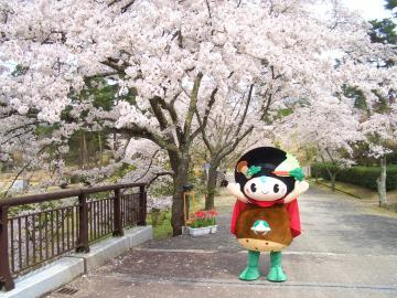 味夢君が、満開な桜の木の下に立って両手をあげている写真