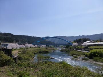青空の下、流れる川の奥に、青い鉄道橋があり、左側に桜並木が写っている写真
