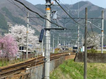 鉄道の左側に、濃いピンクと白い花を咲かせた桜の木が写っている写真