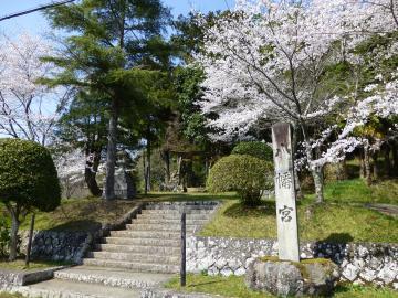 階段の左右にある、花を咲かせた桜の木の写真