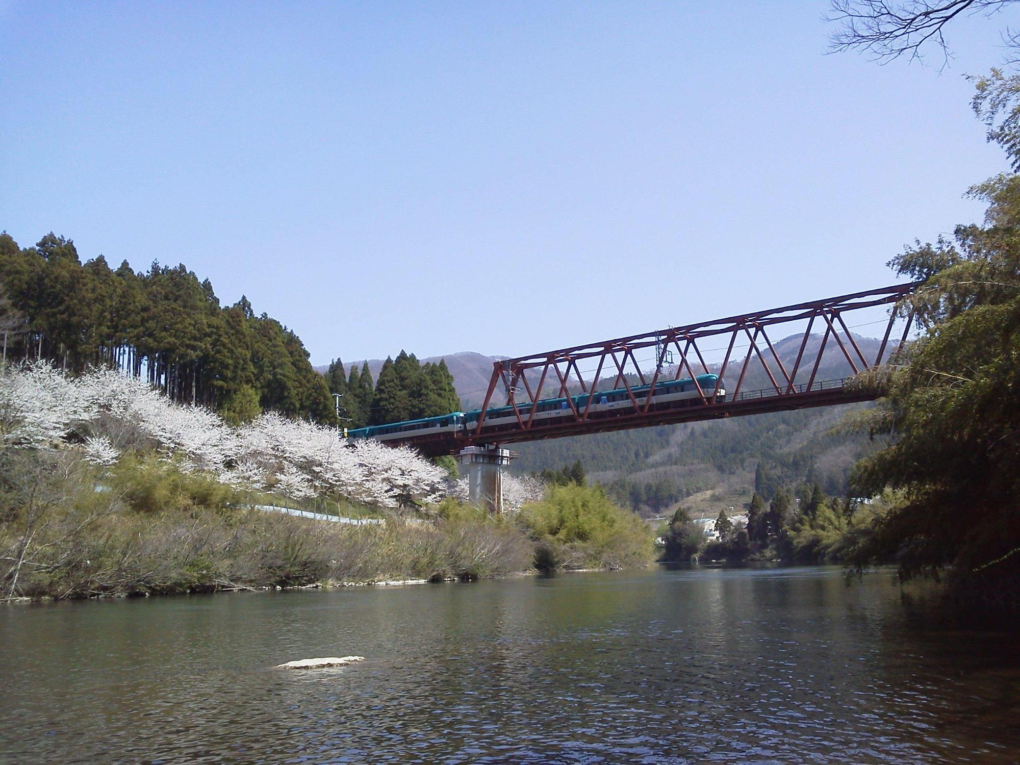 電車が鉄道橋をはしり、川の奥に花を咲かせた桜の木が並んでいる写真