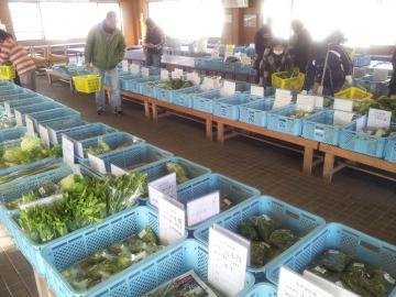 並んでいる青いコンテナの中に沢山の野菜が入っている丹波高原朝採り野菜市の写真