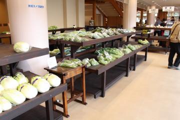 店内の陳列台に並べられている白菜などの葉物野菜の写真