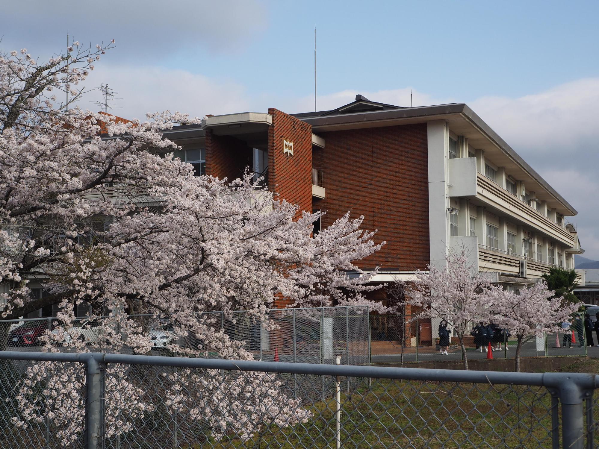 蒲生野中学校の外観写真