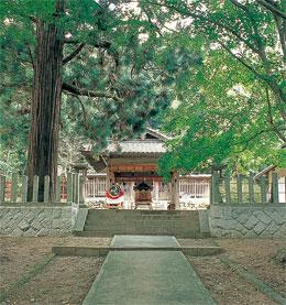 周囲を木々に囲まれ、奥に見える九手神社へ道がまっすぐ続いている写真