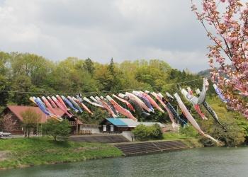川を渡すようにロープが張られ、たくさんの色とりどりのこいのぼりが川の上を泳いでいる写真
