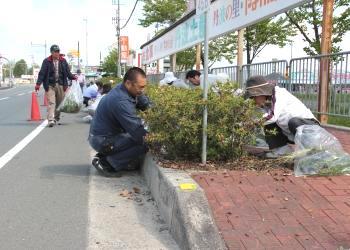 沿道の緑地帯の周りに参加者がかがんで座り、植木の中の雑草を取り除く作業をしている写真
