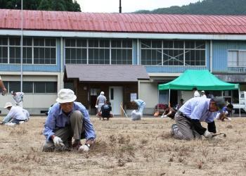 体育館が後ろに見えるグラウンドで、参加者が膝をつき、草引きをしている写真