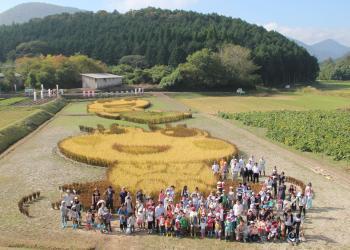 広い田んぼに大きなカエルの田んぼアートが出来ており、稲刈りに参加される沢山の人々がカエルの田んぼアートの前に集まって写っている記念写真