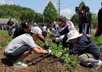 畑に作られた畝から沢山新芽が出ており、子ども2人と大人の男性2名が一緒に、たくさん出ている新芽から不要な芽を摘み取る作業をしている写真