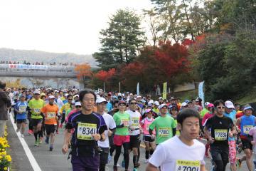 胸に黄色いゼッケンをつけた沢山のランナーが紅葉で赤く色づいた木々の見える沿道を軽やかに走っている写真