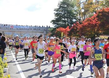 胸に黄色いゼッケンをつけた沢山のランナーが紅葉で赤く色づいた木々の見える沿道を軽やかに走っている写真