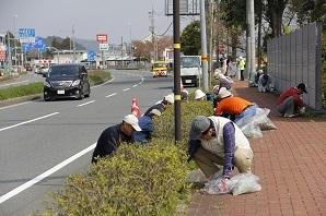 道路沿いの緑地帯の周りに、ボランティアの方々が腰を下ろし雑草を抜く作業をしている写真