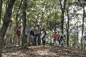 森の中を参加者が森林インストラクターの案内を受けながら散策している様子の写真