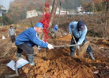 男性2名が鍬を使って土を掘り起こし、ヤマモミジの苗木の植樹作業をしている写真
