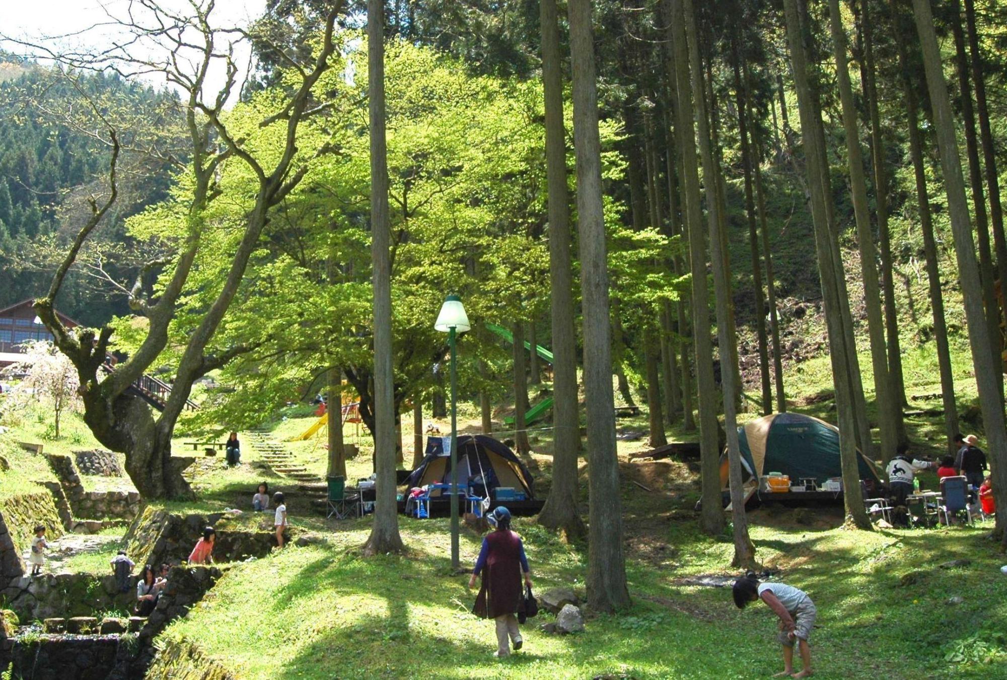 森の中にテントが立っていて、キャンプをする大人や子どもたちが写っている風景写真