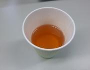 紙コップに注がれた1時間煮出して紅茶のような色になったクロモジ茶の写真
