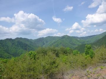 山頂から緑で生い茂っている山脈を映した風景の写真