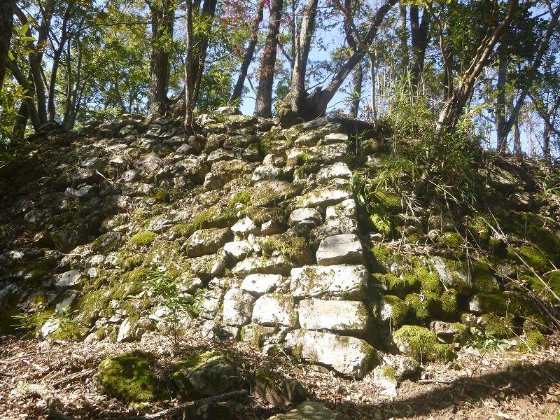 苔むした部分もある高く積み上げられた白い石の石垣の写真